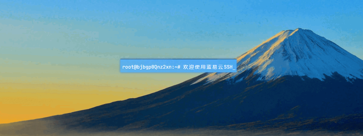 蓝易云SSH-web在线ssh工具、在线linux终端、免费ssh工具！-零一物语